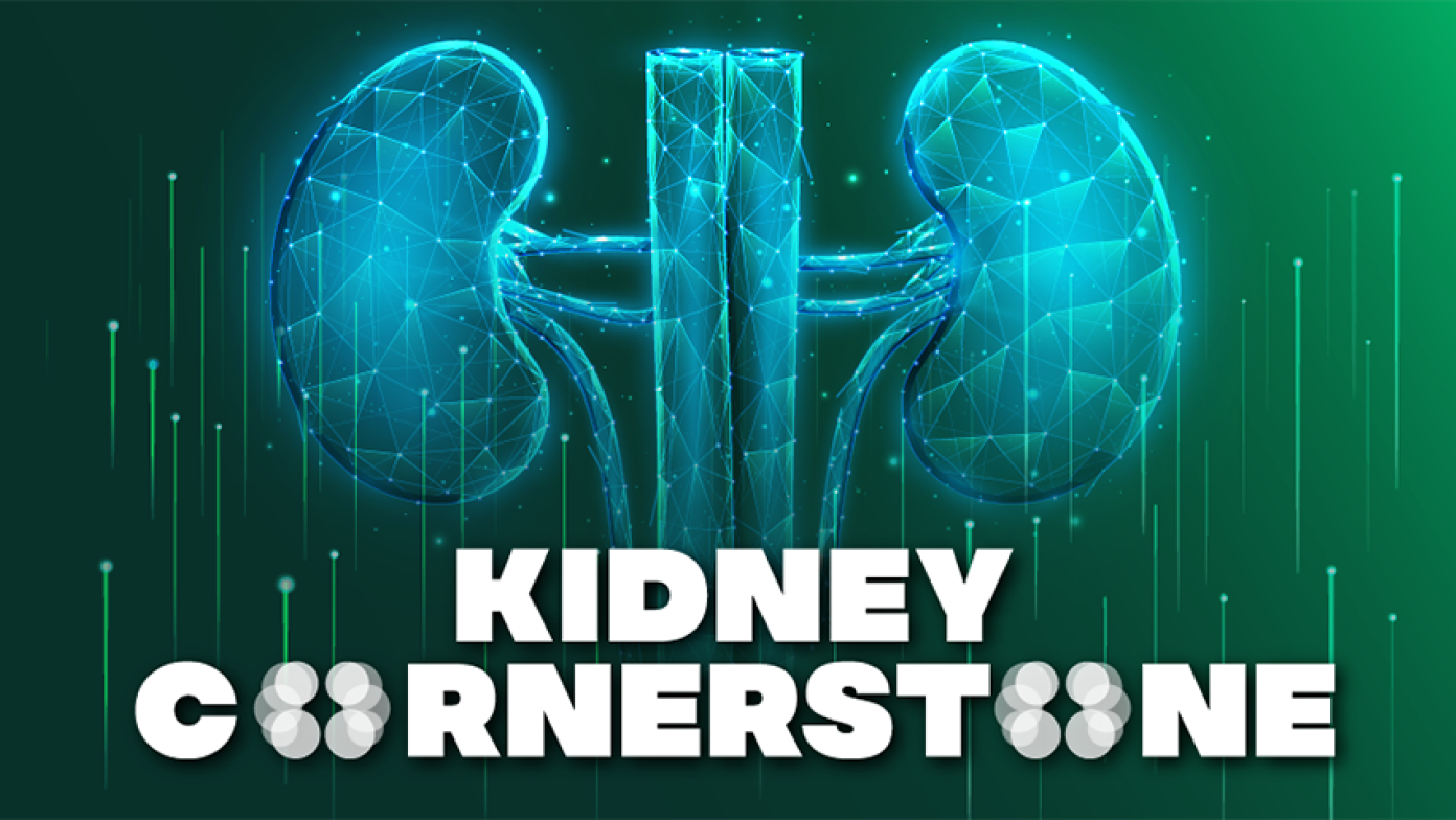 SIP Kidney Image