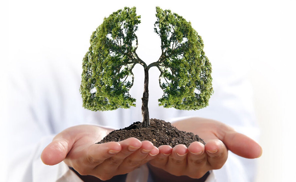 DURING-TARGETED-THERAPY-FOR-LUNG-CANCER-TREATMENT