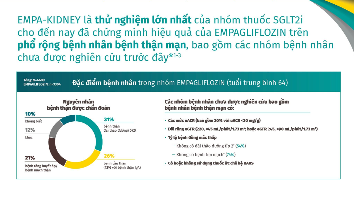 Các phân nhóm trong EMPA-KIDNEY​
