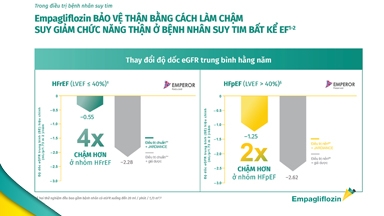 Empagliflozin bảo vệ thận bằng cách làm chậm sự suy giảm chức năng thận